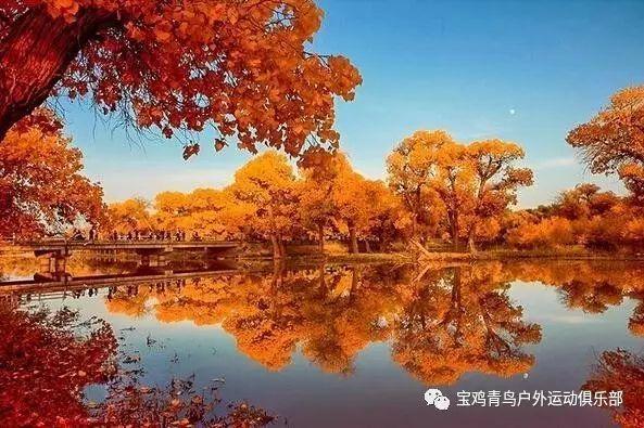 病毒大作战