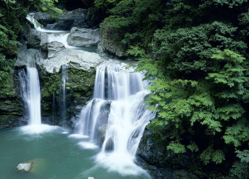 逃离撒丁岛